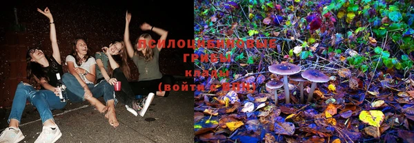 прущие крисы Абдулино